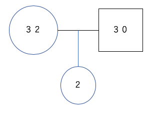 ジェノグラムと発達段階はこう使え
